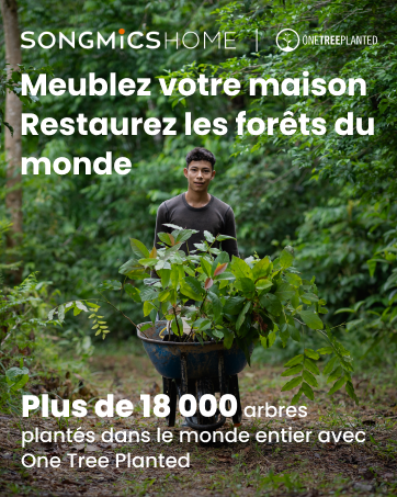 18088978-6bd5-43d8-b6f8-84b20a524aea.__CR0,0,362,453_PT0_SX362_V1___